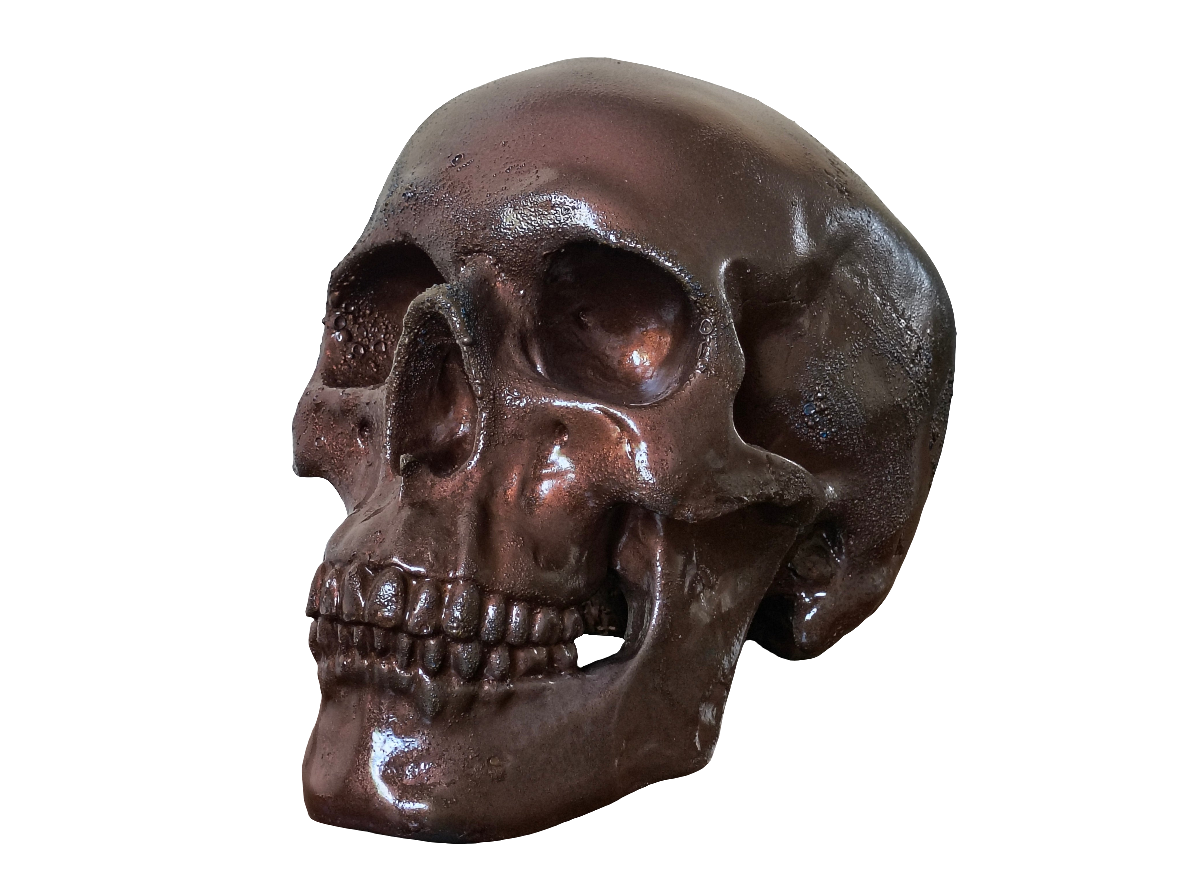 Burnt Copper Skull Moneybox