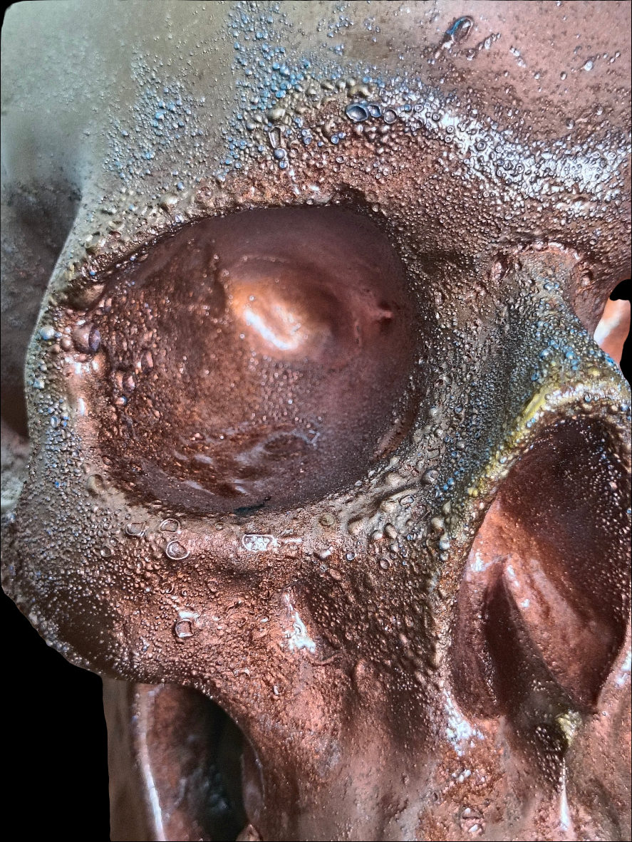 Burnt Copper Skull Moneybox