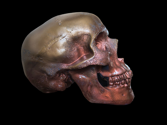 Burnt Copper Skull Moneybox