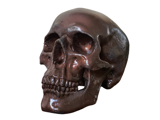 Burnt Copper Skull Moneybox